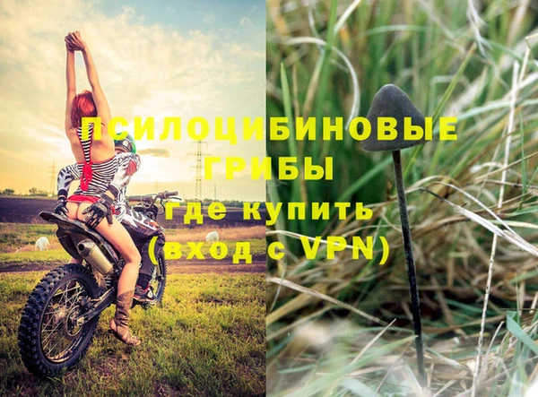 мет Алзамай